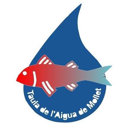 Taula mollet