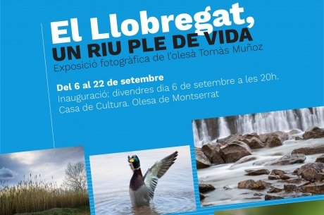 Cartell de l'exposició "El riu Llobregat: un riu ple de vida"